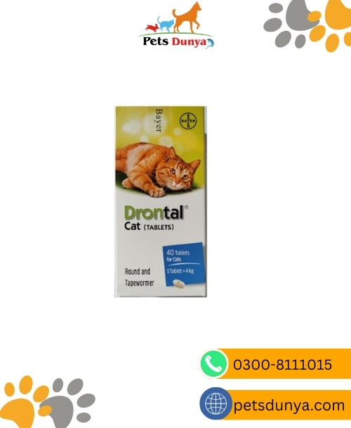 Drontal Tablet For Cats (1 Tablet)
