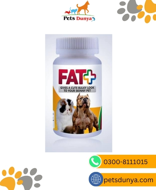 FAT PLUS FOR BULKY LOOK