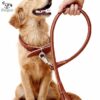Soft Dog Leash with Collar - Image 2