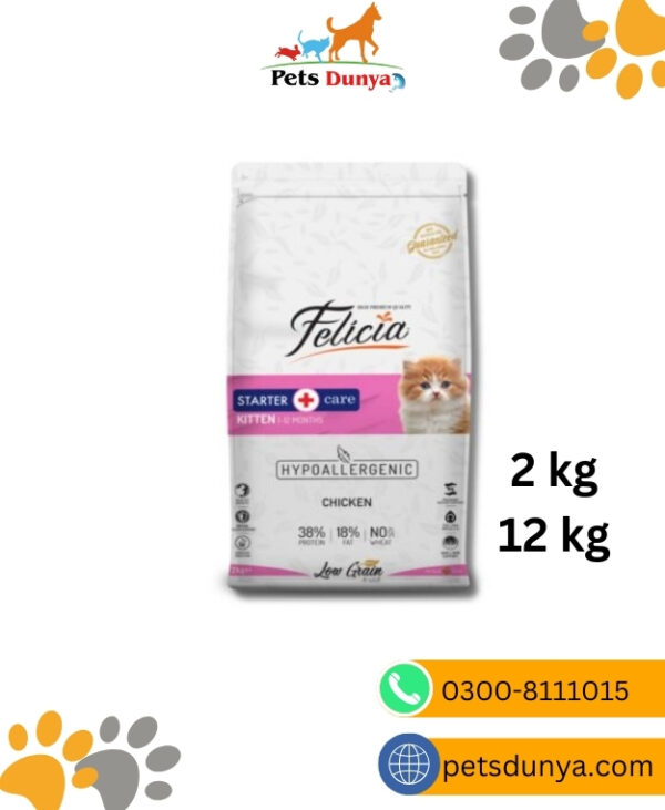 Kitten Food Felicia