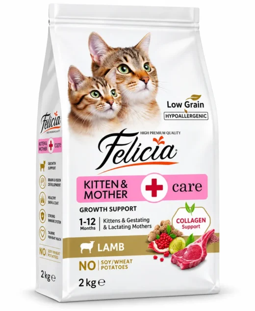 Felicia kitten &mother care lamb cat food
