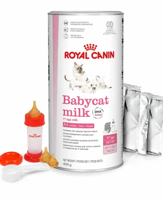 Royal Canin Babycat Milk Replacer for Kittens