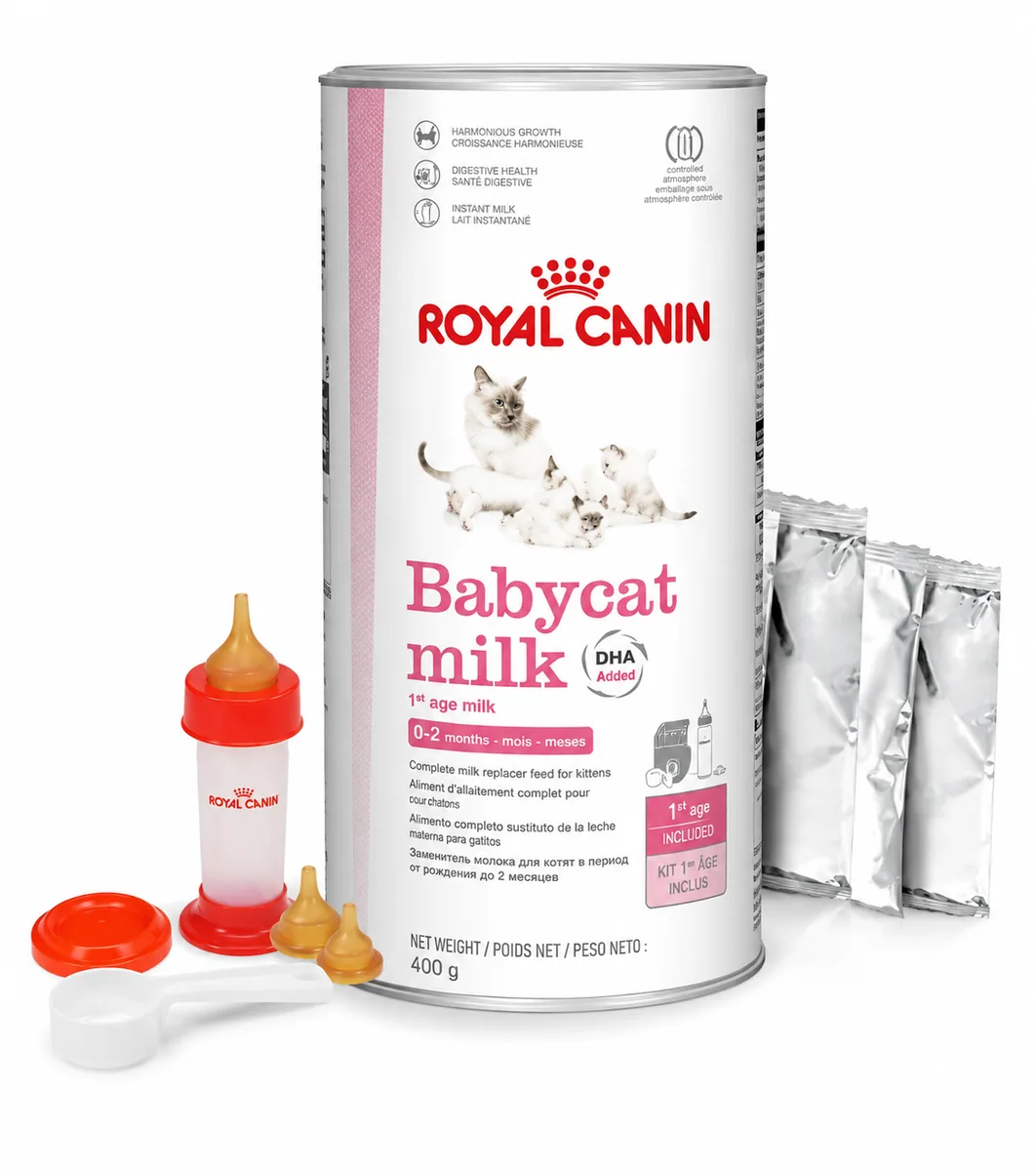 Royal Canin Babycat Milk Replacer for Kittens