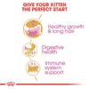 ROYAL CANIN Persian KITTEN Dry food - Image 5