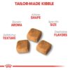 ROYAL CANIN Persian KITTEN Dry food - Image 2