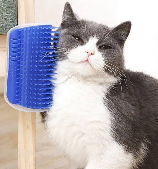 CATIT SELF GROOMING CAT BRUSH WITH CATNIP