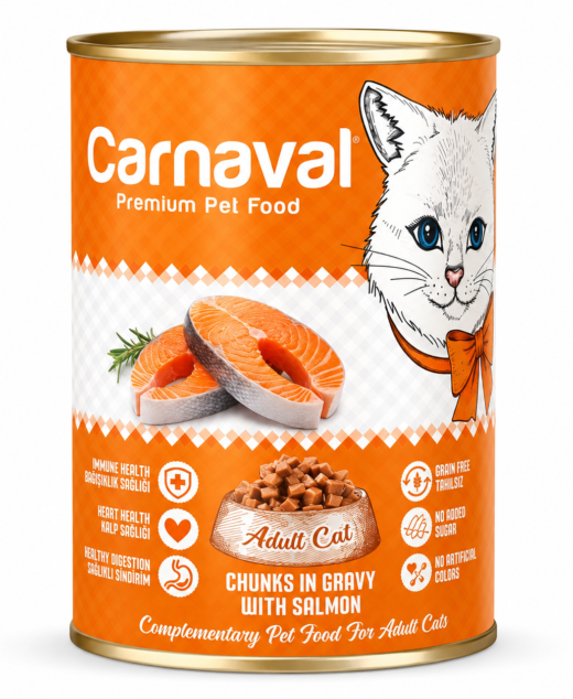 Carnaval  Chunks in Gravy With Salmon